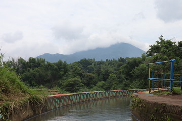 bridge over the river