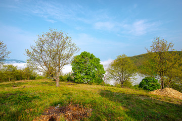 Obraz premium Morning fog on the hill