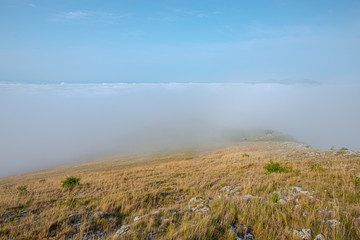 Morning fog on the hill