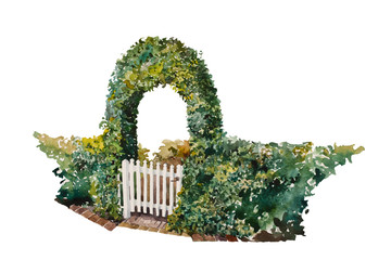 Watercolor romantic ivy gate over the house entrance, with part of green fence. Hand painted garden design element, isolated on white background