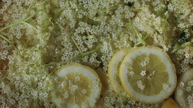 Refreshing natural drink. Lemon slices and elder flowers in water	