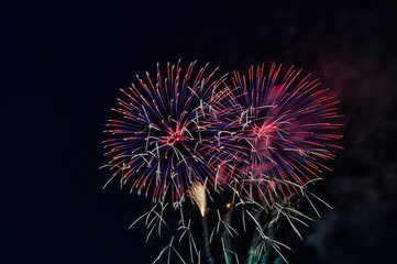 fireworks in the night sky Astoria new york city