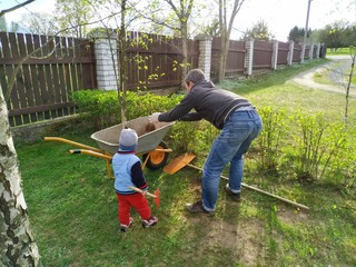 Father and little son work together in a garden with a rakes and a wheelbarrow. family teamwork
