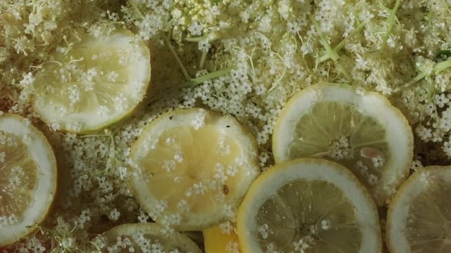 Refreshing natural drink. Lemon slices and elder flowers in water