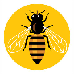 Honeybee. Vector illustration of an insect in flat style.