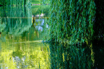 Deutschland Neckar Fluss