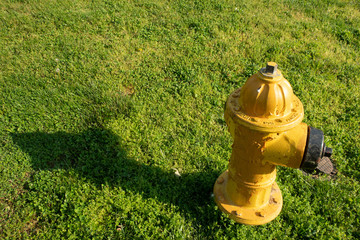 Yellow Fire Hydrant with Shadow