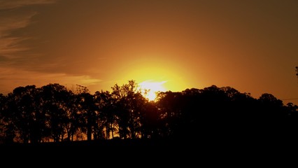 Atardecer silueta