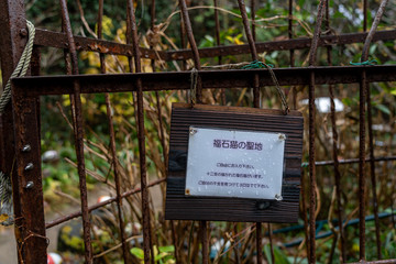 Neko-no-Hosomichi Cat Alley in Onomichi City. Lots of real and ornamental cats (fukuishi-neko), quaint cafes and galleries on this narrow street. Hiroshima Prefecture, Japan