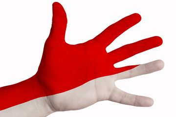 Open palm with the image of the flag of Poland. Multipurpose concept.