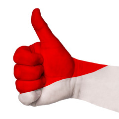 Hand with thumb up gesture in colored poland national flag as symbol of excellence, achievement,...