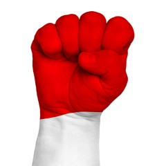 Fist of Poland flag painted, multi purpose concept