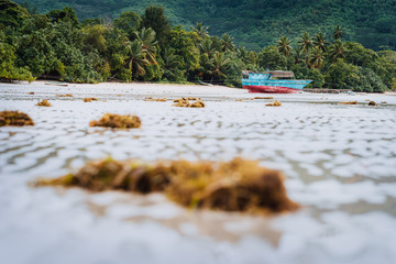 Ship on tropical beach during low tide. Mahe, Seychelles sand lagoon coastline view with palm trees and jungle in background