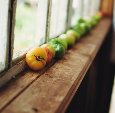 Vegetables On Window Sill