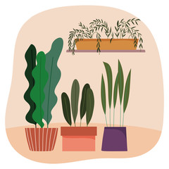 potted plants gardening decoration interior ornament design