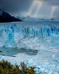 Ice wall of a glacier with some pieces of ice in the water in front of a forest. Perito Moreno Glacier in Argentina