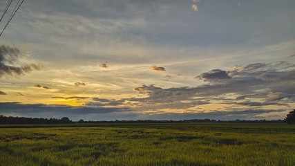 sunset over the field