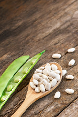 Uncooked dried white haricot beans in wooden spoon with fresh raw green beans pod plant on rustic table. Heap of legume haricot bean background ( Phaseolus vulgaris )
