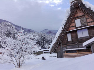 Fototapeta premium House and trees at Shiragawago ancient village in winter