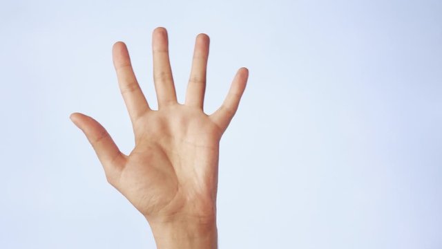 Close up man hand showing palm or high five finger gesture raised isolated on white background