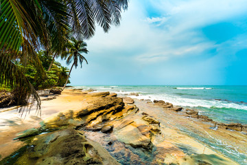 Fototapeta na wymiar Wild beach with palm trees and rocks (Equatorial Guinea Beach - Africa) Tropical empty beach. 