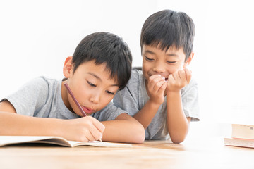 兄弟　キッズ　教育