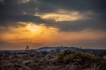 Beautiful sunset over heathland