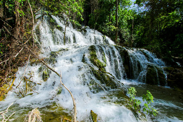 Small waterfall in the forest of the Krka National Park in Croatia