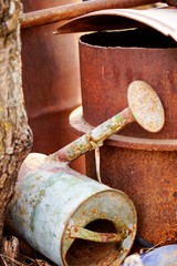 old rusty watering can