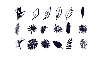 Vector collection with black leaves in flat style for icons and graphic design