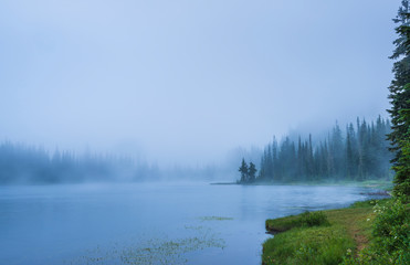 Fototapeta na wymiar lake in the forest with a lot of fog.