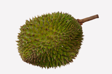 durian isolated on white background