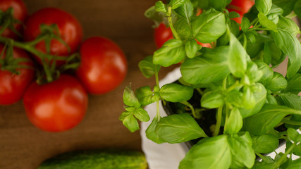 
Vegetables. Tomatoes and cucumbers with basil. Ready free entry space