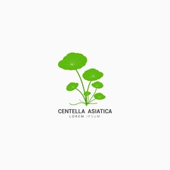 Centella Asiatica icon logo vector design template