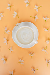 White cup of coffee on a colored background, white spring flowers