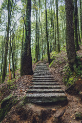 Escaleras en México