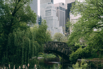 New York Central Park panorama. Green center park in New York City. Summer time in Central Park. Bow bridge, Central Park. Bethesda terrace in Central Park, New York City. Manhattan Skyscrapers view. 
