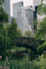 New York Central Park panorama. Green center park in New York City. Summer time in Central Park. Bow bridge, Central Park. Bethesda terrace in Central Park, New York City. Manhattan Skyscrapers view. 