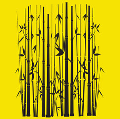 Bamboo Forest with yellow background