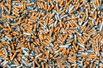 Mégots de cigarettes
