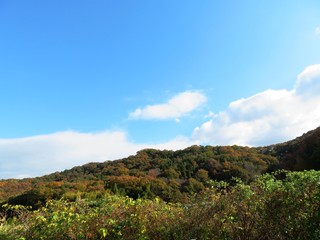 日本の田舎の風景　11月　黄葉　山の木々