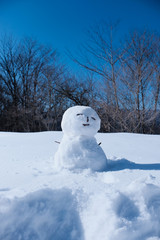 癒しの雪だるま。日本の冬の里山歩き、山梨県扇山。Snow field with smiling snowman. Trekking at mountain area, Yamanashi Japan. 