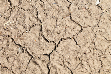 Cracked clay texture. Faults and cracks on frozen clay. 