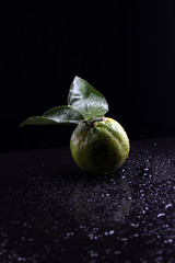limón,fresco,verde,agua,frescura,saludable,salud