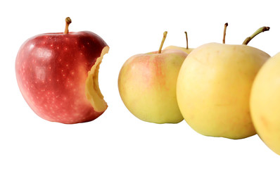 One red apple with a bitten side and several yellow apples on a white background