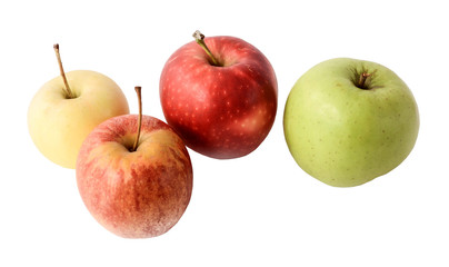 Set of color apples isolated on white background
