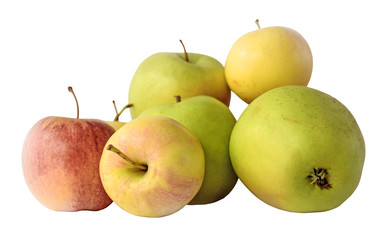 Set of color apples isolated on white background
