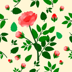 The abstract seamless pattern of the  pink roses flower for background, Gift Wrap ,wallpaper, fabric print, cloth texture, illustration.