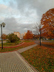 City Park in the rays of the sunrise with trees covered with yellow leaves