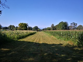countryside landscape 